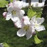 Freizeitangebot-im-Sommer