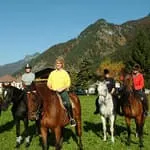 Reiten