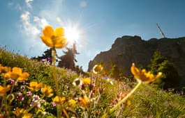 Freizeitangebot-im-Sommer Freizeitangebot-im-Sommer